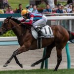 ［新馬戦回顧］メイクデビューの勝者達(2026/08/09)