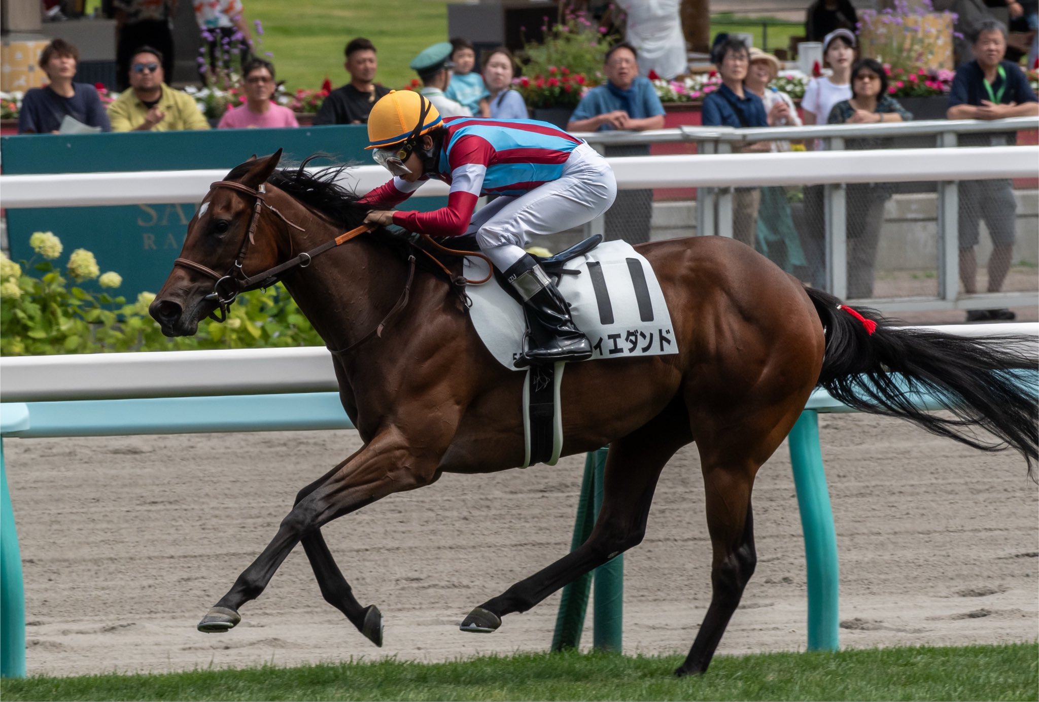 ［新馬戦回顧］メイクデビューの勝者達(2026/08/09)