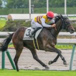 ［新馬戦回顧］メイクデビューの勝者達(2026/08/15)