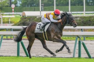 ［新馬戦回顧］メイクデビューの勝者達(2026/08/15)