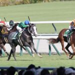 ［今週の競馬］新潟、中京の夏開催は今週まで！フィナーレを飾るのは伝統の新潟記念と2歳重賞・中京2歳S！