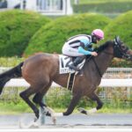 ［新馬戦回顧］メイクデビューの勝者達(2026/08/16)