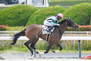 ［新馬戦回顧］メイクデビューの勝者達(2026/08/16)