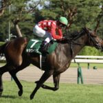［新潟2歳S］ロサード、クリールサイクロン、キタウイング。小柄な馬体をものともせず新潟2歳Sを制した馬たち