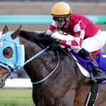 ［石神深一ブログ］オジュウチョウサン顕彰馬選出と、障害界の未来