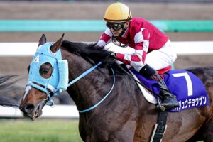 ［石神深一ブログ］オジュウチョウサン顕彰馬選出と、障害界の未来