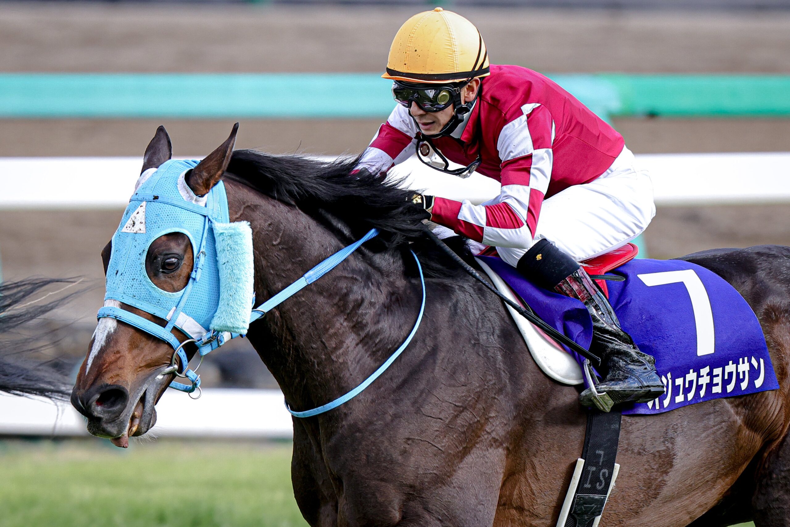 ［石神深一ブログ］オジュウチョウサン顕彰馬選出と、障害界の未来