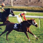 不屈の競走馬、オフサイドトラップ - 3度の屈腱炎の先で走り、掴んだ栄光
