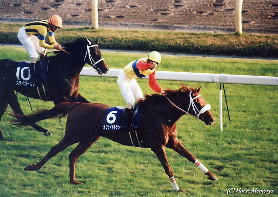 不屈の競走馬、オフサイドトラップ - 3度の屈腱炎の先で走り、掴んだ栄光