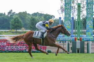 ［新馬戦回顧］メイクデビューの勝者達（2026/08/22）