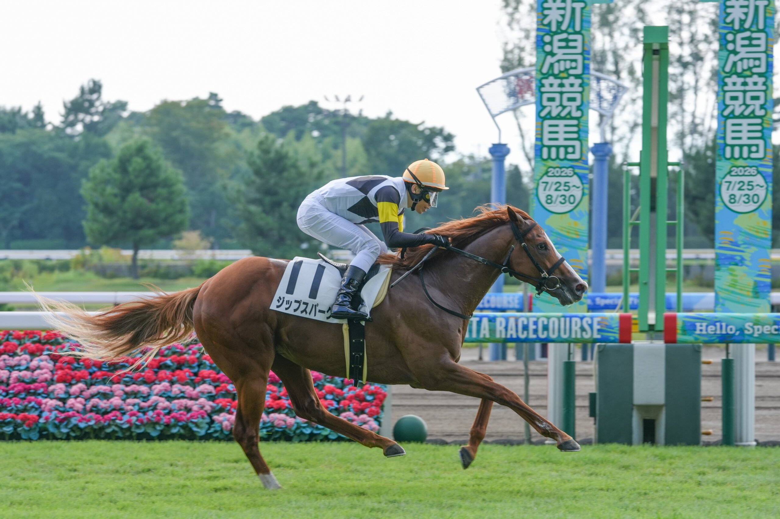 ［新馬戦回顧］メイクデビューの勝者達（2026/08/22）