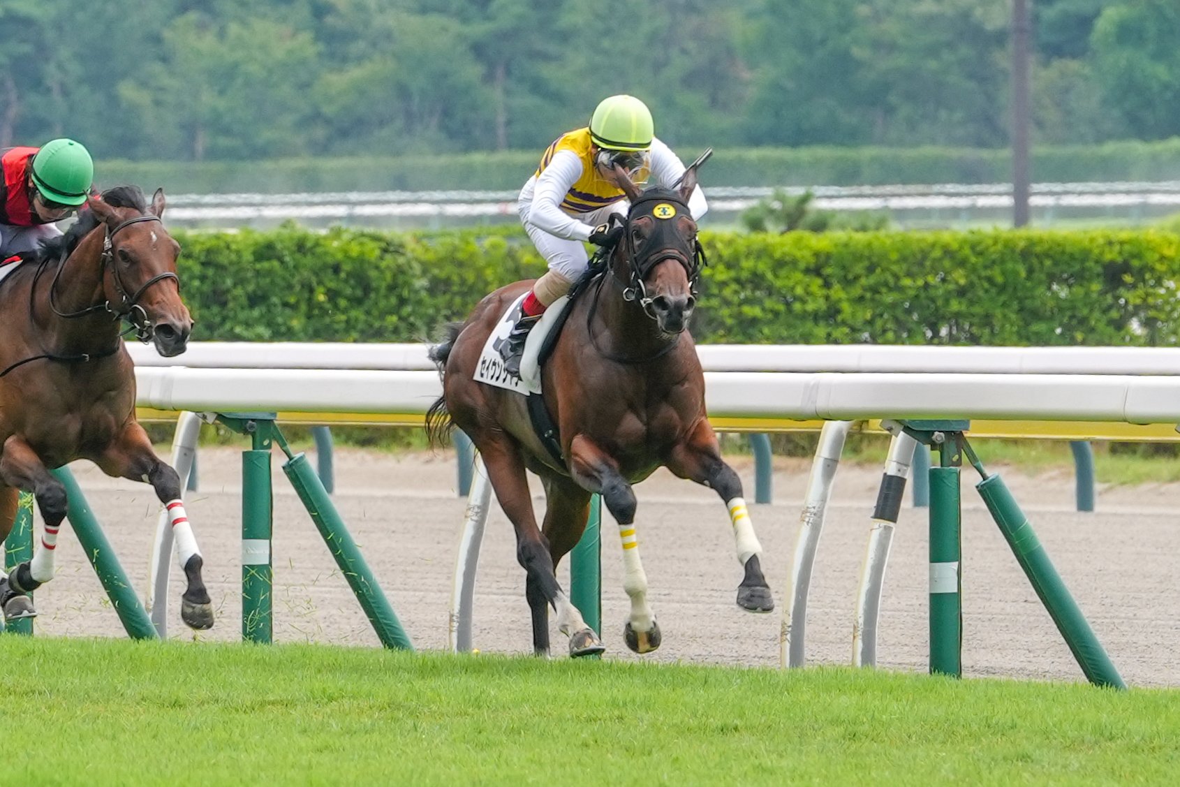［新馬戦回顧］メイクデビューの勝者達（2026/08/23）