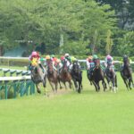 ［石神深一ブログ］夏競馬の思い出など