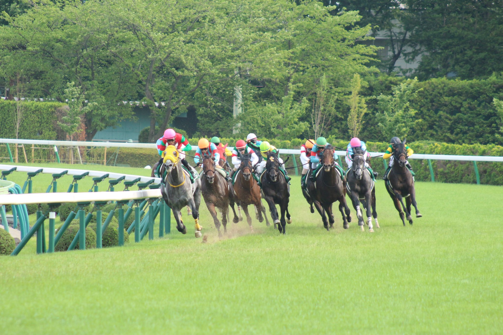 ［石神深一ブログ］夏競馬の思い出など