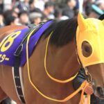 「伝説の新潟2歳S」の記憶 - ハープスターとイスラボニータが刻んだ“飛躍の起点”
