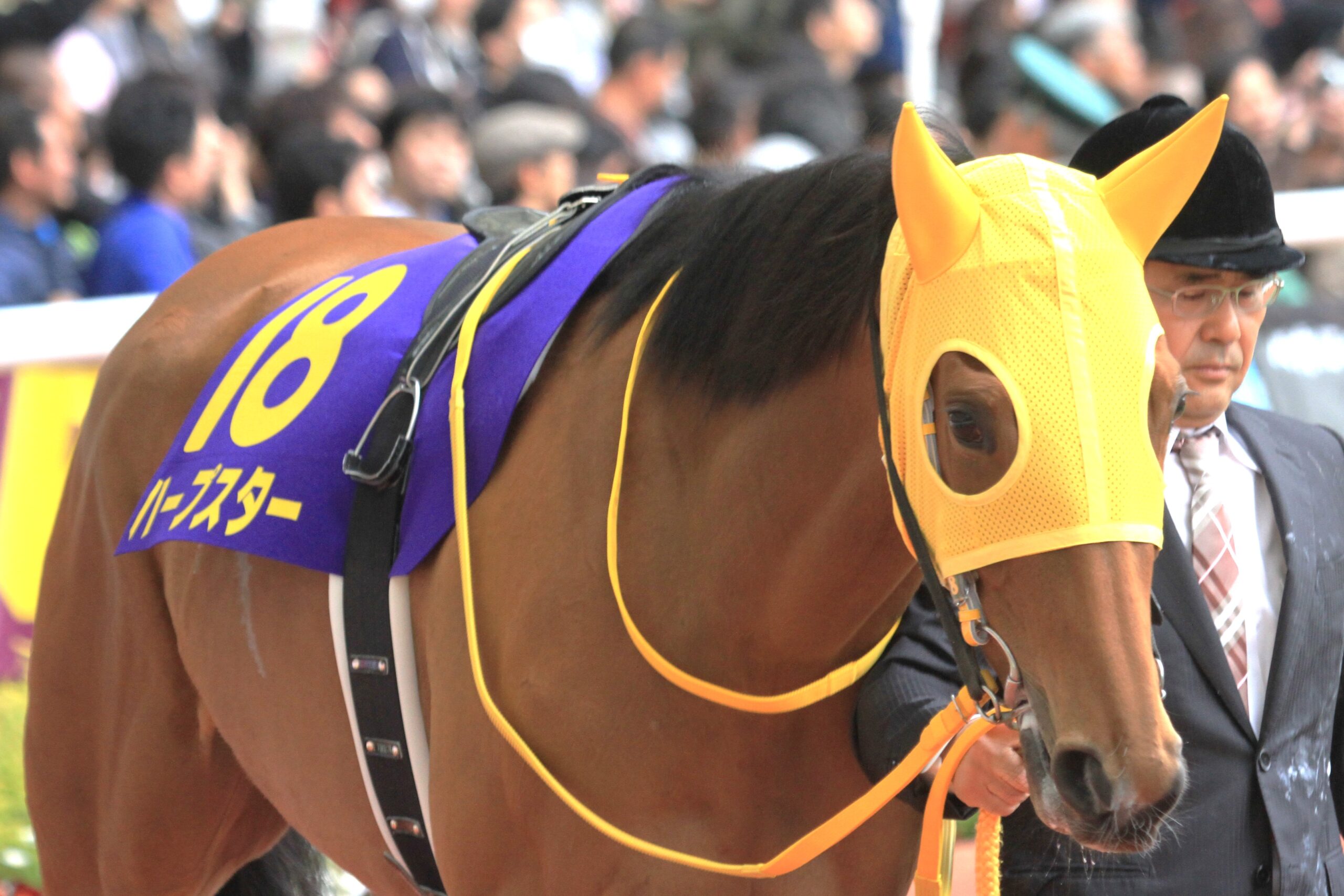 「伝説の新潟2歳S」の記憶 - ハープスターとイスラボニータが刻んだ“飛躍の起点”