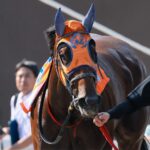 「福ちゃん、勝ったよ」。片目のサラブレッド・ドコフクカゼが、新しい景色に出会った日