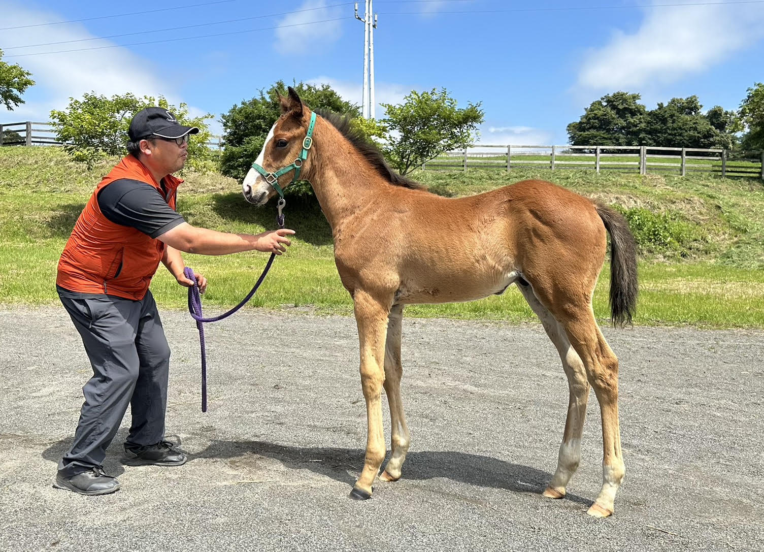 ［大狩部牧場代表・下村優樹ブログ］大狩部だより - カラヴァッジオとパンサラッサ