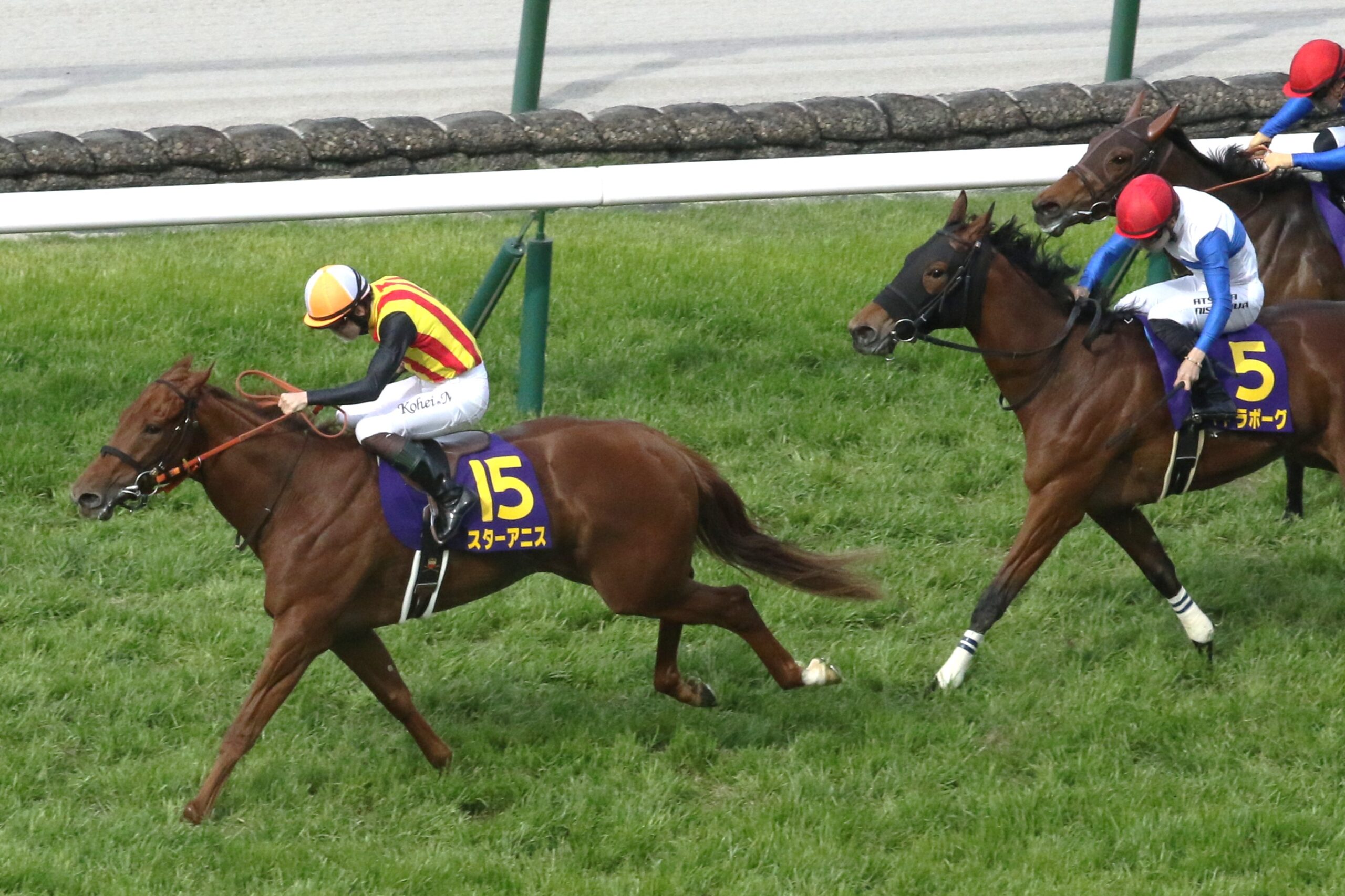 ［今週の注目］古馬優勢の舞台へ - ３歳牝馬スターアニスが挑む、秋のスプリント決戦