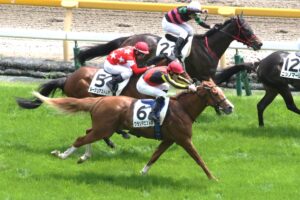［今週の注目］今度こそ勝利の笑顔を！グランマエストロが挑む、世代最後の芝の3歳未勝利戦