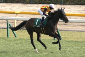 ［今週の注目］母の記憶を継ぎ、秋へ歩み出す - ドリームコア、紫苑Sへ