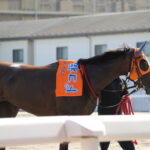 ［対談・治郎丸敬之×緒方きしん］片目のサラブレッド・福ちゃん初勝利と未来を語る