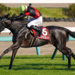 ［紫苑S］クリスマスパレード、コスモマーベラス、サンドリオン。前走ダート戦から紫苑Sを勝利した馬たち