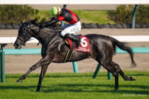 ［紫苑S］クリスマスパレード、コスモマーベラス、サンドリオン。前走ダート戦から紫苑Sを勝利した馬たち