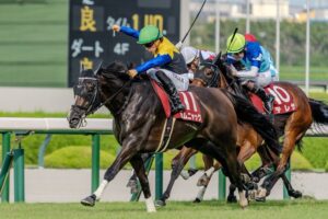 ［今週の競馬］中山、阪神の2場開催！3歳最後の一冠に向け、トライアル競走など3重賞が開催！