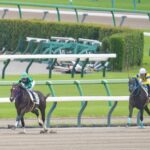 ［新馬戦回顧］メイクデビューの勝者達（2026/09/05）