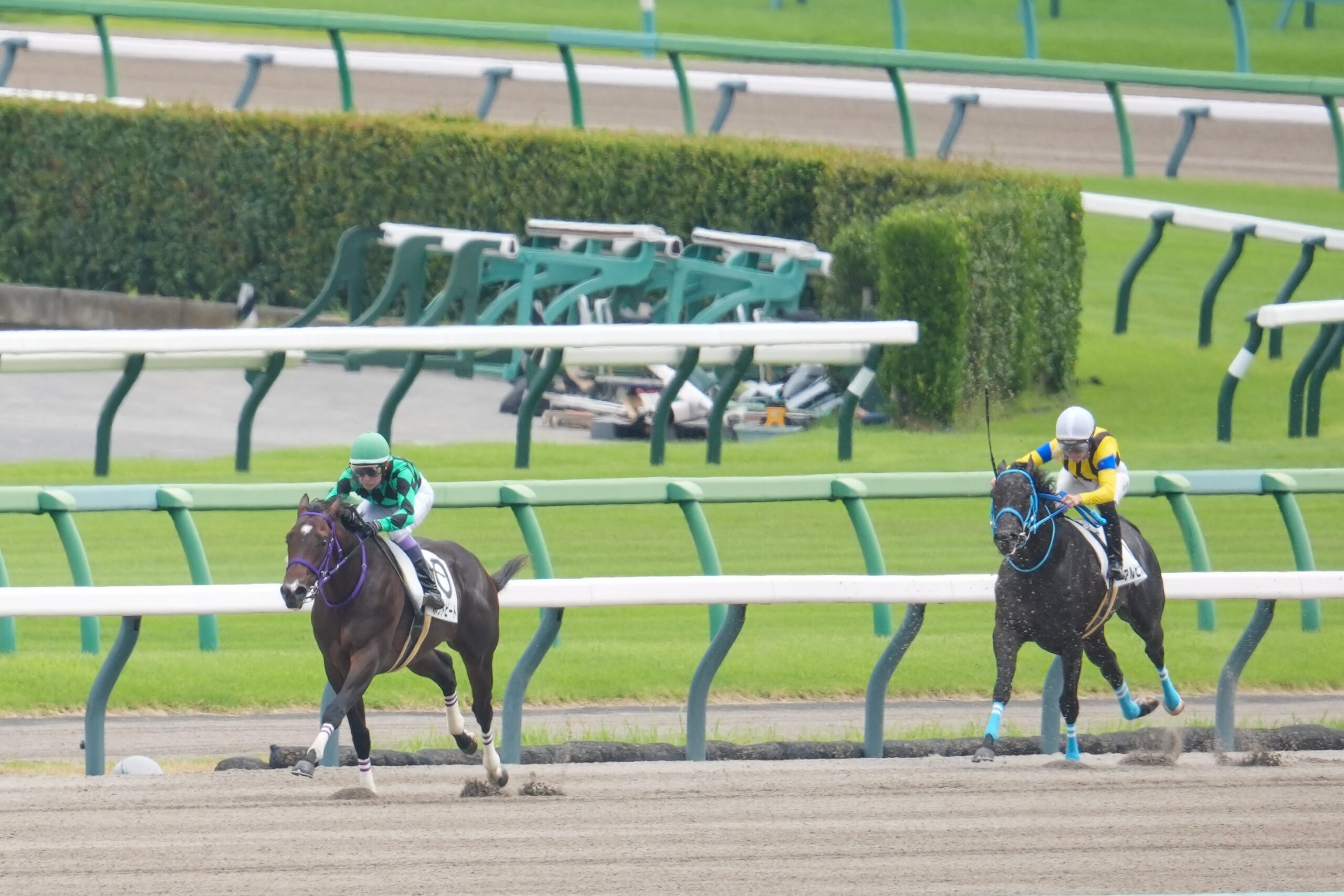 ［新馬戦回顧］メイクデビューの勝者達（2026/09/05）