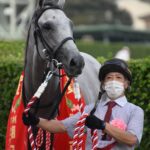 ［セントライト記念］ガイアフォース、レオリュウホウ、アドマイヤボス。前走1勝クラスからセントライト記念を制した馬たち