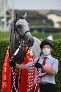 ［セントライト記念］ガイアフォース、レオリュウホウ、アドマイヤボス。前走1勝クラスからセントライト記念を制した馬たち