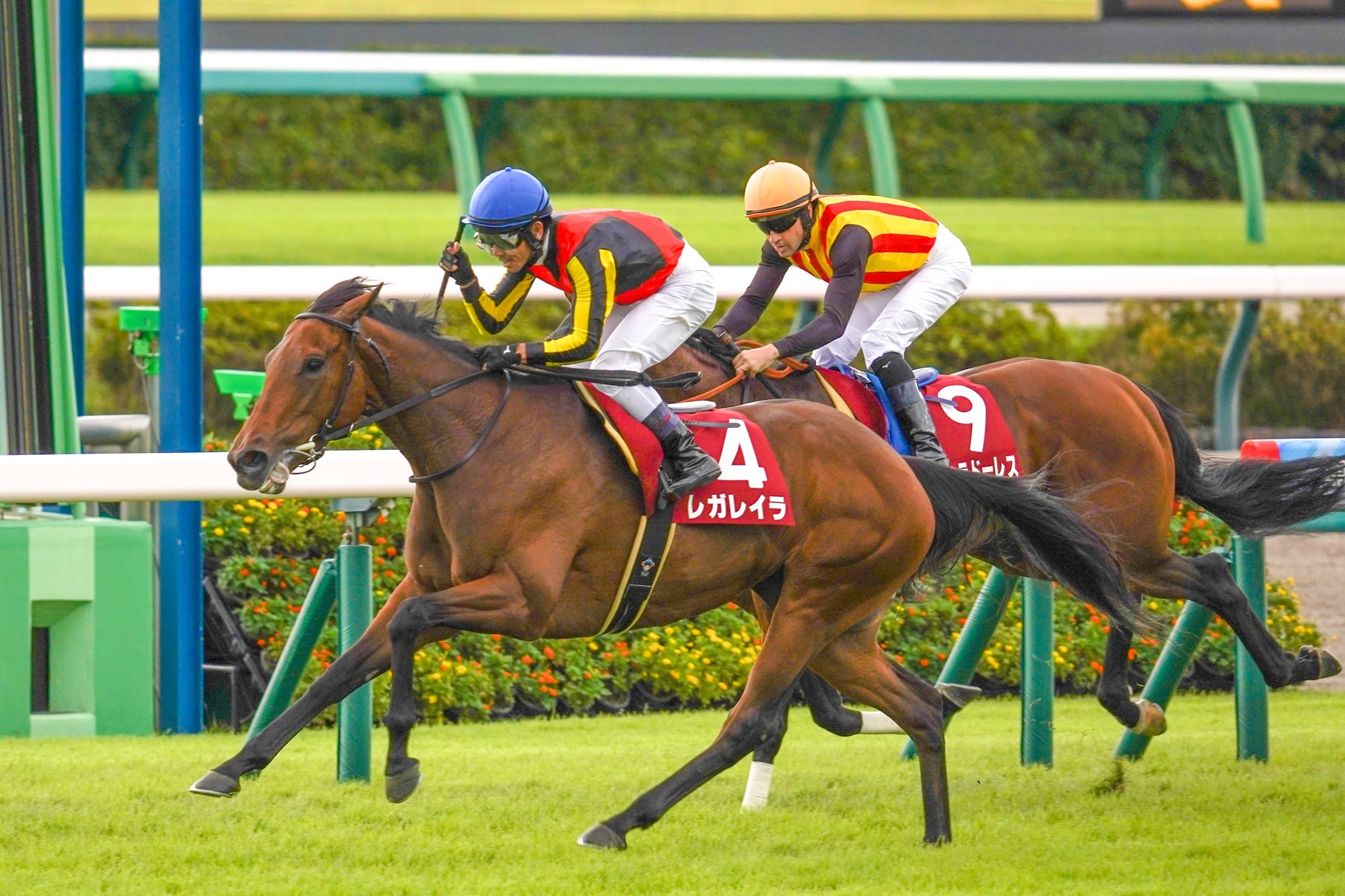 ［今週の競馬］シルバーウィークの3日間開催！中山、阪神で3つの重賞が開催！