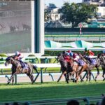 ジャンダルム - ビリーヴとの絆を信じて駆けた勇士