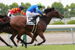 ［新馬戦回顧］メイクデビューの勝者達（2026/08/29）