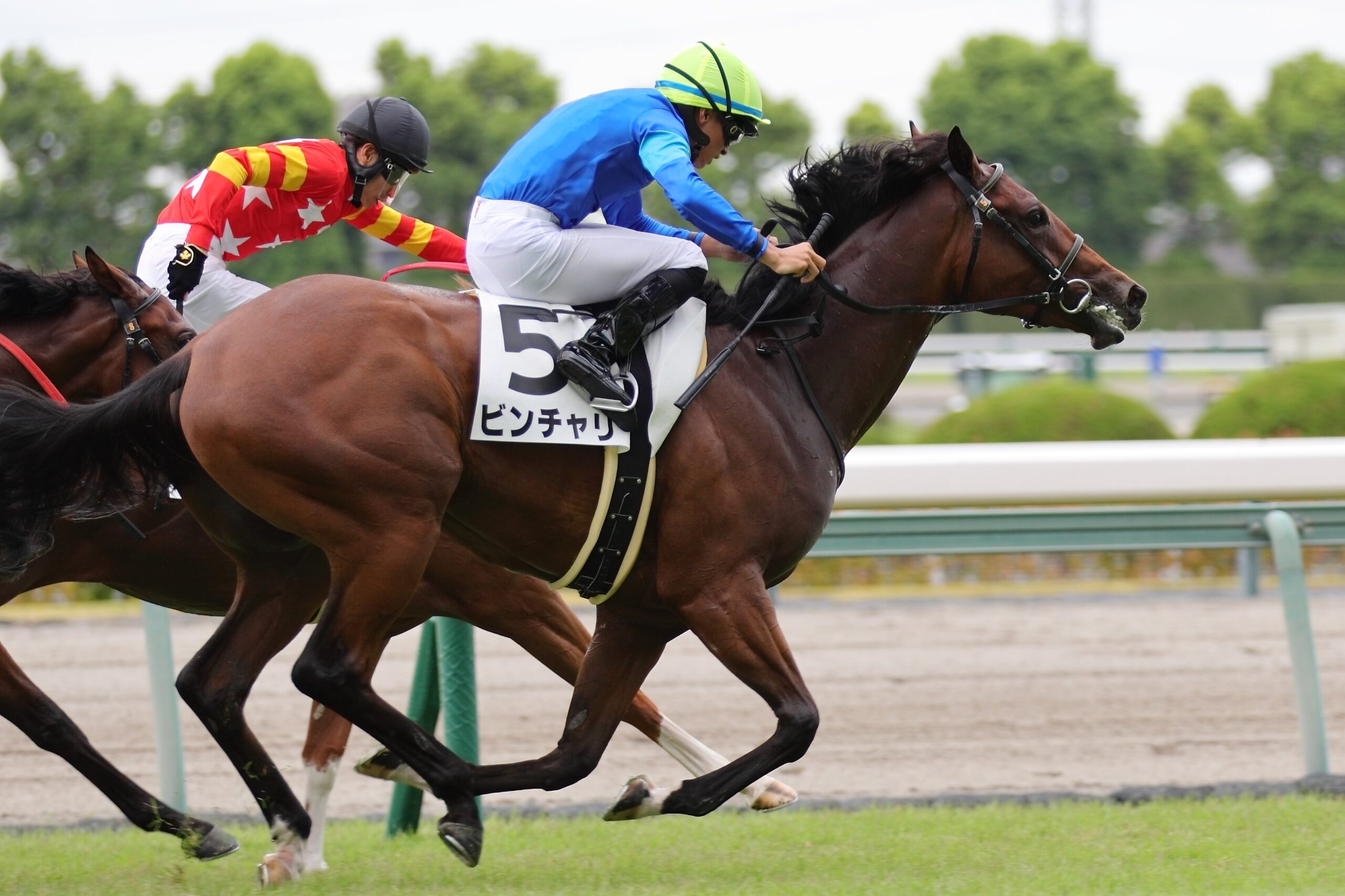 ［新馬戦回顧］メイクデビューの勝者達（2026/08/29）