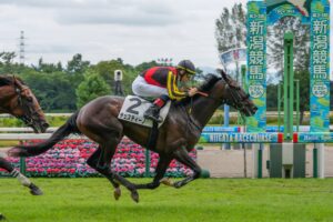 ［新馬戦回顧］メイクデビューの勝者達（2026/08/30）