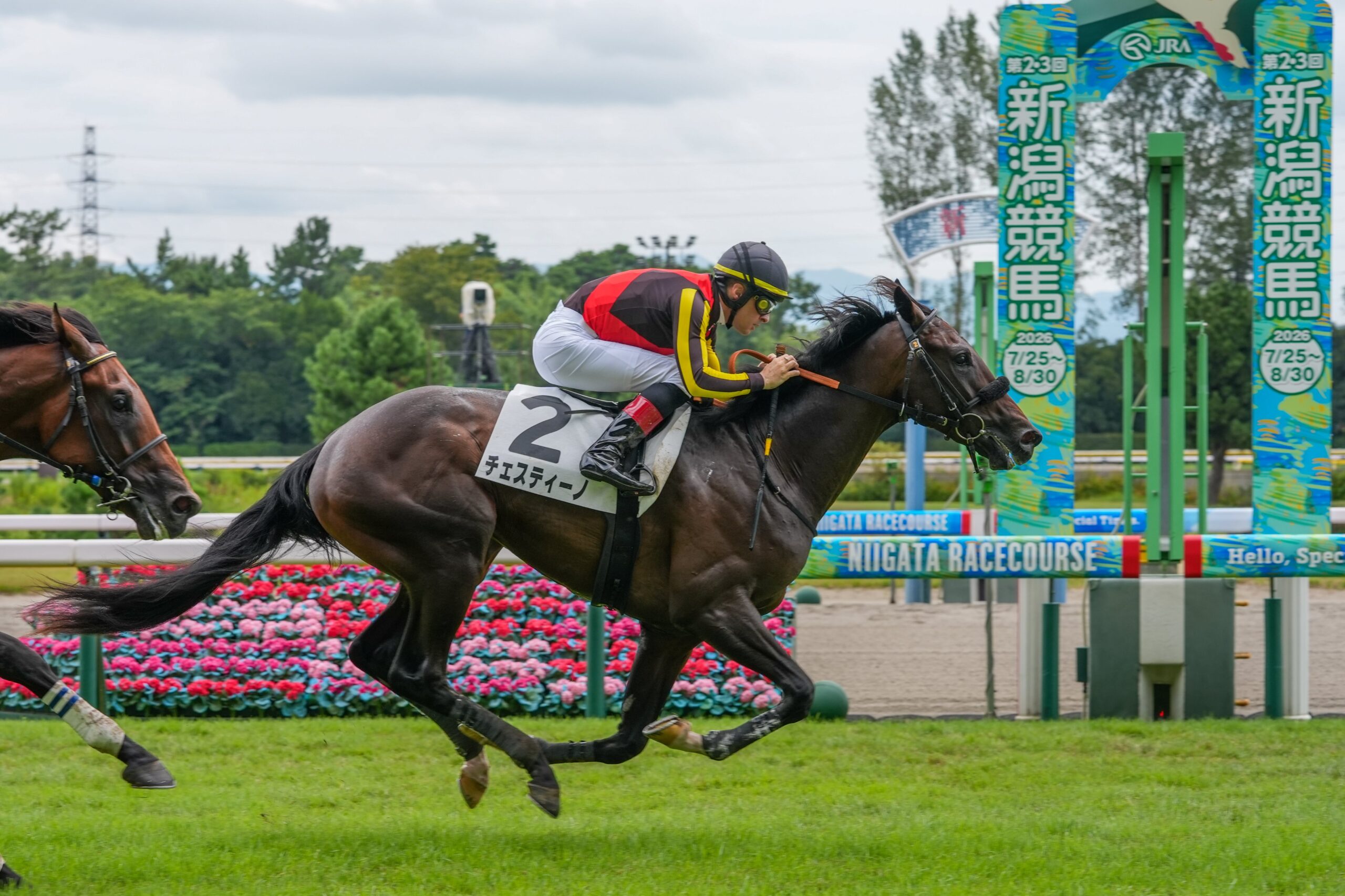 ［新馬戦回顧］メイクデビューの勝者達（2026/08/30）