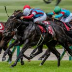 ［重賞回顧］いざ三冠へ、またひとつ勝ち方を増やして～2026年・神戸新聞杯～