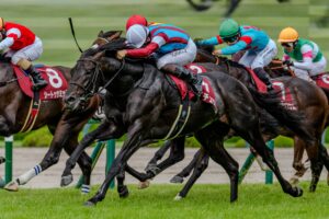 ［重賞回顧］いざ三冠へ、またひとつ勝ち方を増やして～2026年・神戸新聞杯～