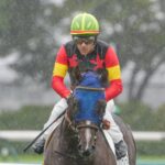 ［リーディング］騎手部門は岩田望来騎手とC.ルメール騎手の熾烈な争い！トウカイテイオーの血も重賞を制す
