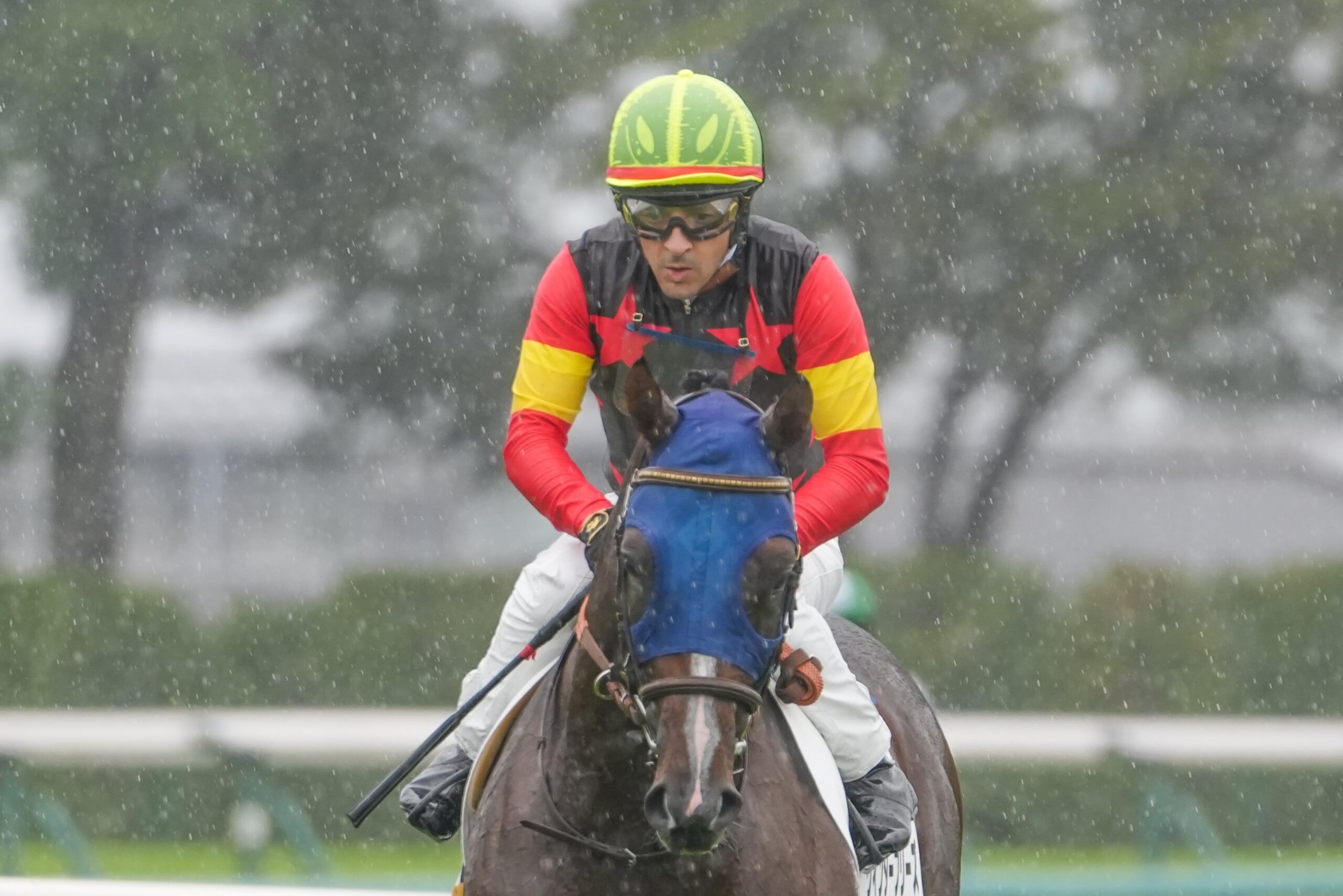 ［リーディング］騎手部門は岩田望来騎手とC.ルメール騎手の熾烈な争い！トウカイテイオーの血も重賞を制す