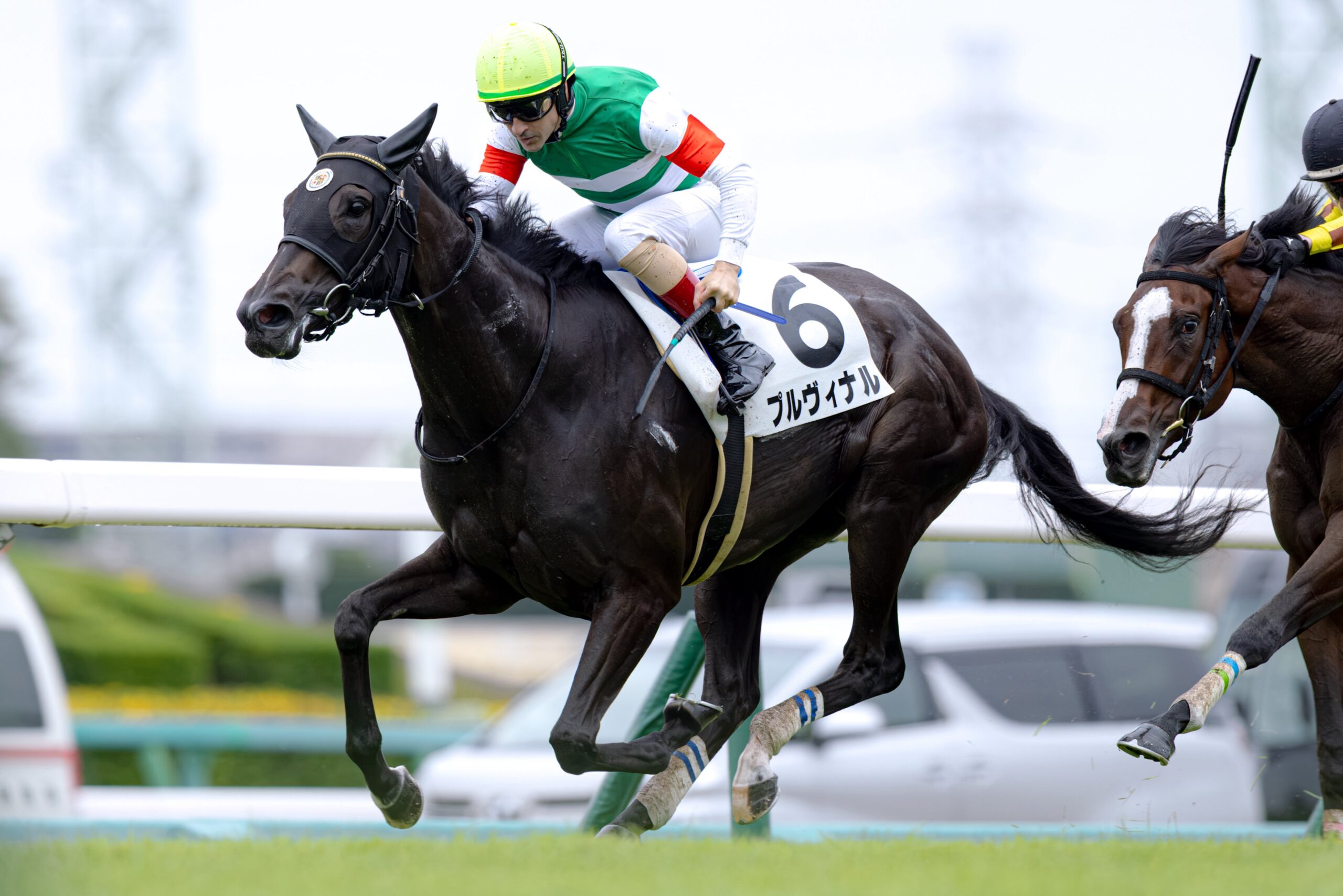 ［新馬戦回顧］メイクデビューの勝者達(2026/09/19)