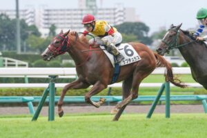 ［新馬戦回顧］メイクデビューの勝者達(2026/09/20)