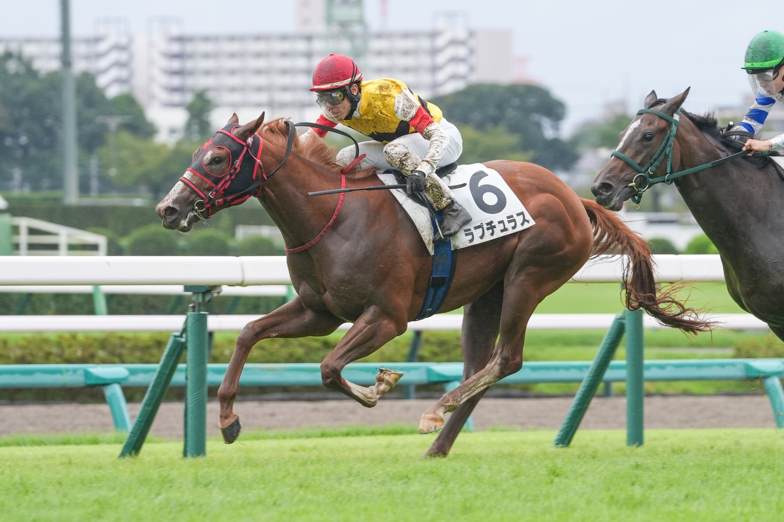 ［新馬戦回顧］メイクデビューの勝者達(2026/09/20)