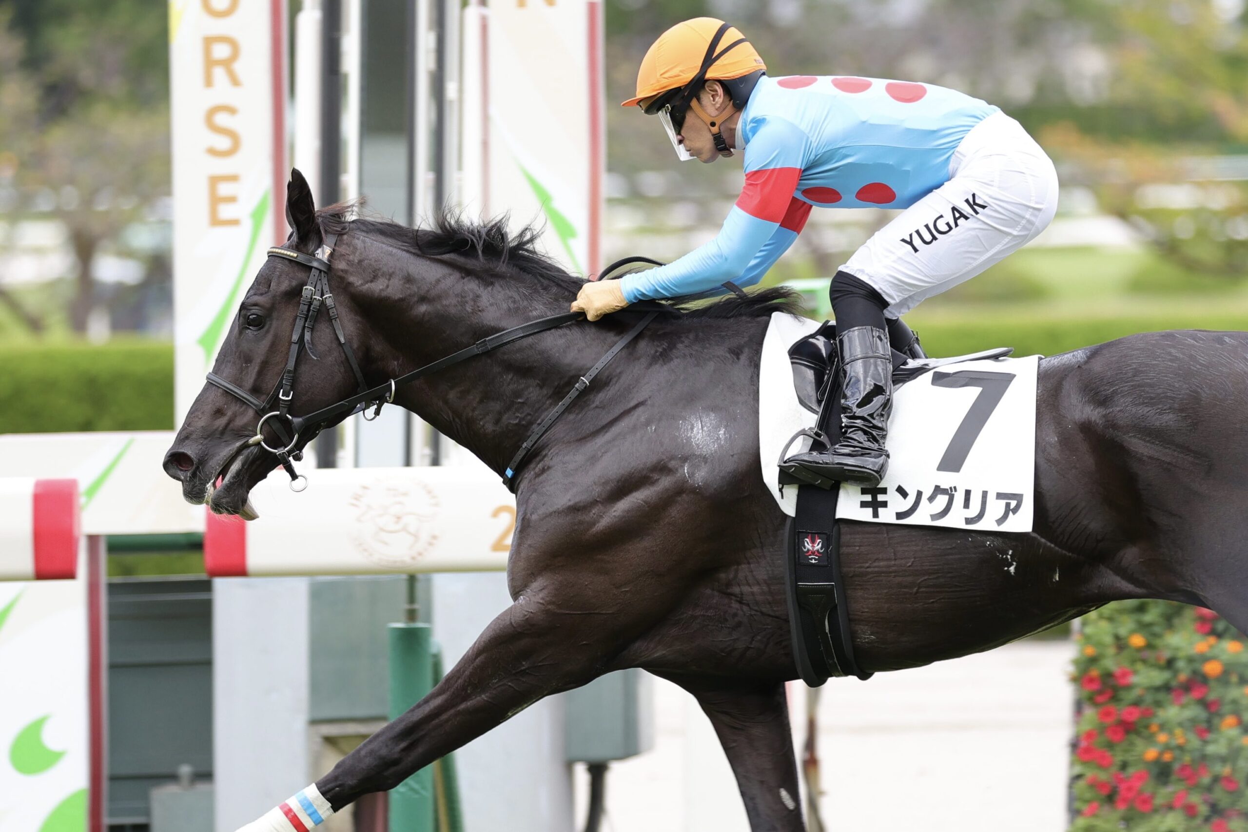 ［新馬戦回顧］メイクデビューの勝者達(2026/09/21)