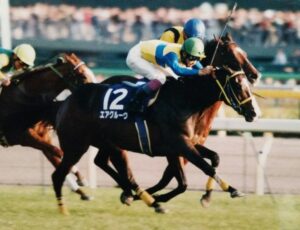 ライバルたちを超えて行け！ - エアグルーヴの華麗な戦績を辿る