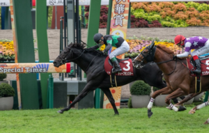 ［今週の競馬］秋の東京、京都開催がスタート！日曜日には伝統の重賞が東西で開催！