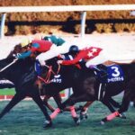 岡田繁幸さんが発掘した外国産馬 - マイネルラヴがここ一番で発揮した渾身の一撃